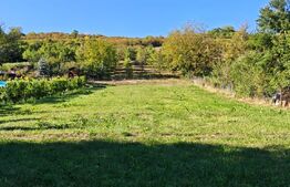 Teren intravilan 2160 mp – Poienița, Livezeni | Zonă liniștită