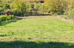 Teren intravilan 2160 mp – Poienița, Livezeni | Zonă liniștită