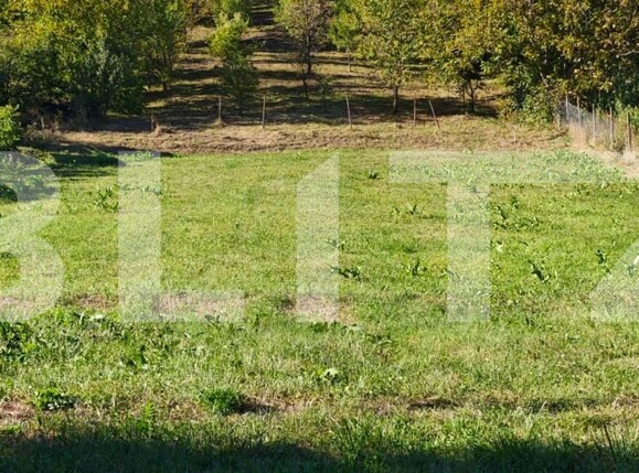 Teren de vânzare Poienita - 178913TV | BLITZ Târgu Mureș | Poza3