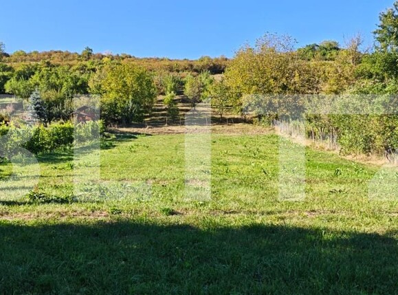 Teren de vânzare Poienita - 178913TV | BLITZ Târgu Mureș | Poza5