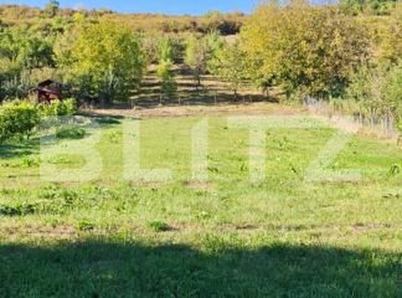 Teren de vânzare Poienita - 178913TV | BLITZ Târgu Mureș | Poza4