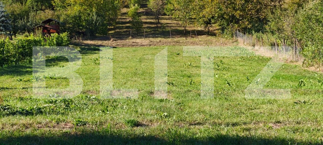 Teren de vânzare Poienita - 178913TV | BLITZ Târgu Mureș | Poza3