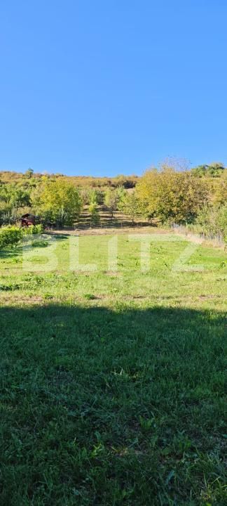 Teren de vânzare Poienita - 178913TV | BLITZ Târgu Mureș | Poza4