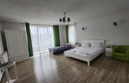 Oportunitate de afacere, Pensiune, Casa de Varstnici sau Casa de Locuit