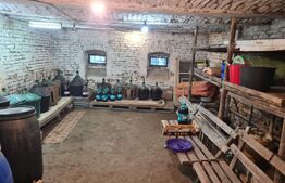 Casa Saseasca pentru afacere tip pensiune 