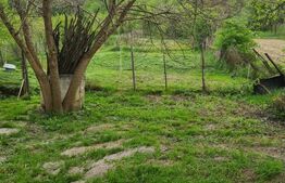 Casa Saseasca pentru afacere tip pensiune 