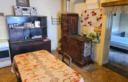 Casa Saseasca pentru afacere tip pensiune 