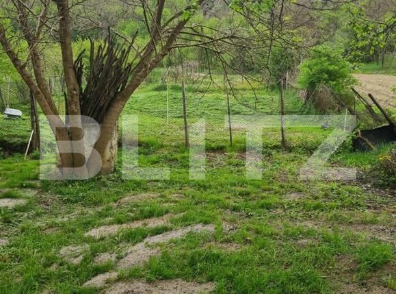 Casa de vânzare 2 camere Seleus (Zagar) - 180054CV | BLITZ Târgu Mureș | Poza7