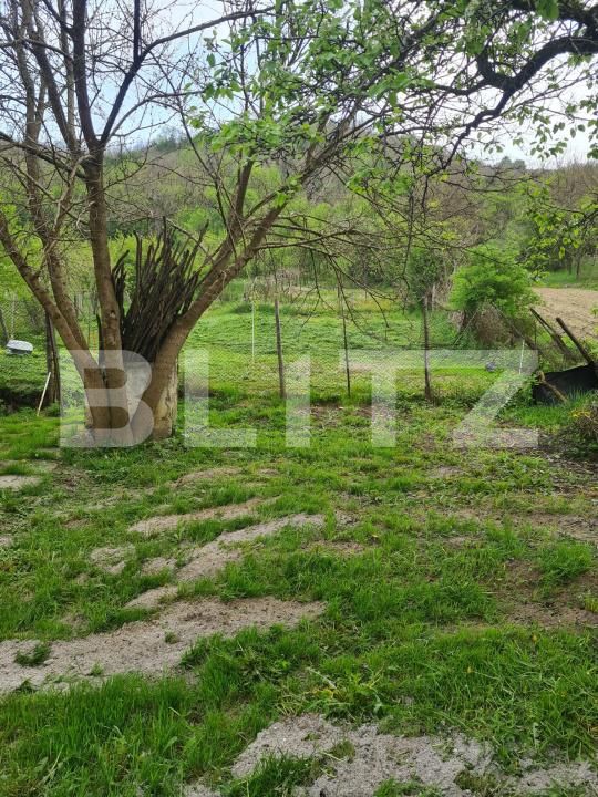 Casa de vânzare 2 camere Seleus (Zagar) - 180054CV | BLITZ Târgu Mureș | Poza7