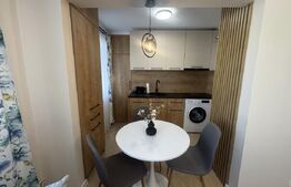Apartament modern 2 camere , 42 mp , Cornisa 