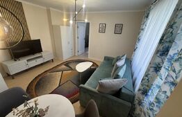 Apartament modern 2 camere , 42 mp , Cornisa 
