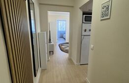 Apartament modern 2 camere , 42 mp , Cornisa 