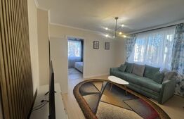 Apartament modern 2 camere , 42 mp , Cornisa 