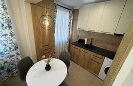 Apartament modern 2 camere , 42 mp , Cornisa 