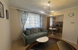 Apartament modern 2 camere , 42 mp , Cornisa 