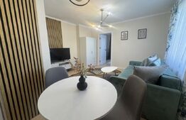 Apartament modern 2 camere , 42 mp , Cornisa 