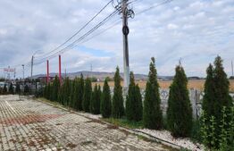 Teren in Targu Mures 7.800 mp pentru dezvoltare rezidențială sau comercială