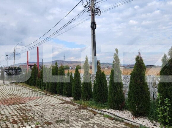 Teren de vânzare Unirii - 180145TV | BLITZ Târgu Mureș | Poza5