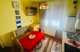 Apartament pentru vacanță, 2 camere, 52 mp., Deda