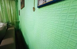 Apartament pentru vacanță, 2 camere, 52 mp., Deda