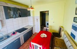 Apartament pentru vacanță, 2 camere, 52 mp., Deda