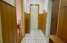 Apartament de vanzare, cu 2 camere, 52 mp, etaj 3, Dambu Pietros