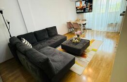 Apartament 2 camere, elegant și spațios, Reghin