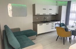 Apartament tip studio, 46 mp, complexul Maurer 