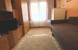 Apartament o cameră, 23 mp, zona Tudor 
