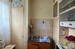 Apartament o cameră, 23 mp, zona Tudor 