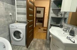 Apartament cochet cu 2 camere – stil country