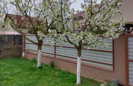 Casa de vanzare in Ernei