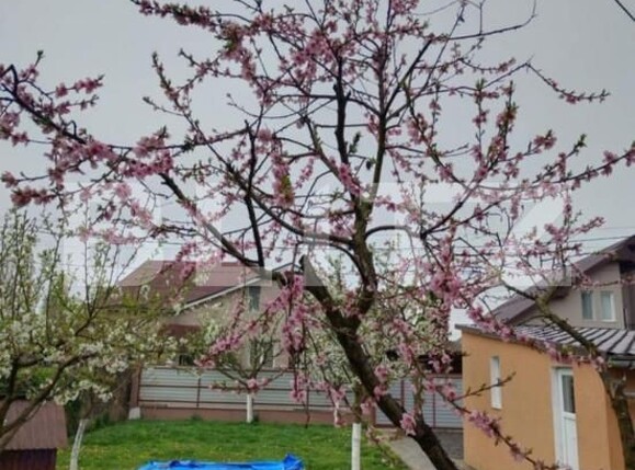 Casa de vânzare 3 camere Ernei - 181079CV | BLITZ Târgu Mureș | Poza3