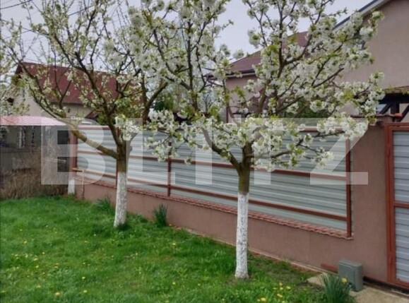 Casa de vânzare 3 camere Ernei - 181079CV | BLITZ Târgu Mureș | Poza13
