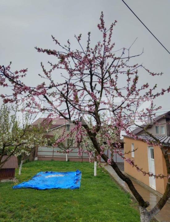 Casa de vânzare 3 camere Ernei - 181079CV | BLITZ Târgu Mureș | Poza3