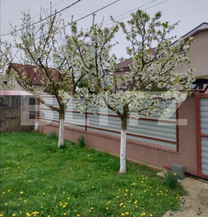 Casa de vânzare 3 camere Ernei - 181079CV | BLITZ Târgu Mureș | Poza13