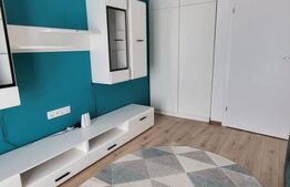 Studio de vanzare, Maurer Residence