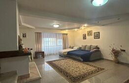 Apartament 5 camere, 142mp, zona Centrala