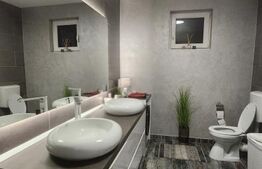 Casă deosebită de vânzare in Sancraiu de Mures complet mobilată și utilat