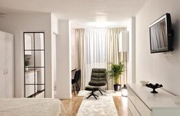 Apartament o camera, 32 mp, zona Aleea Carpați