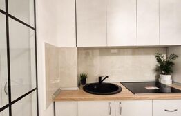 Apartament o camera, 32 mp, zona Aleea Carpați