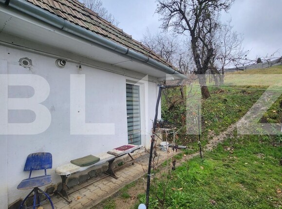 Casa de vânzare 3 camere Mureseni - 182295CV | BLITZ Târgu Mureș | Poza9