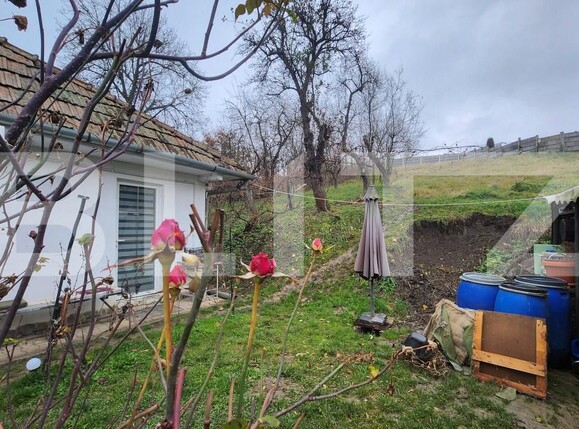 Casa de vânzare 3 camere Mureseni - 182295CV | BLITZ Târgu Mureș | Poza11