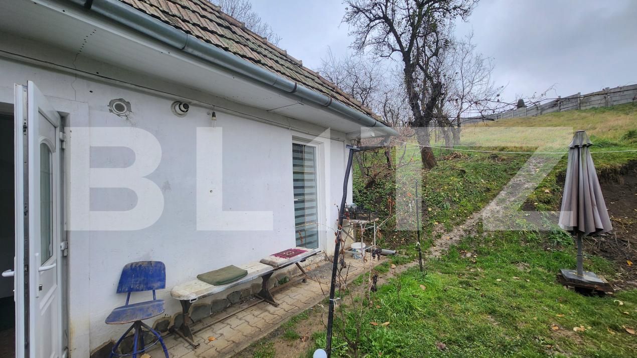 Casa de vânzare 3 camere Mureseni - 182295CV | BLITZ Târgu Mureș | Poza9