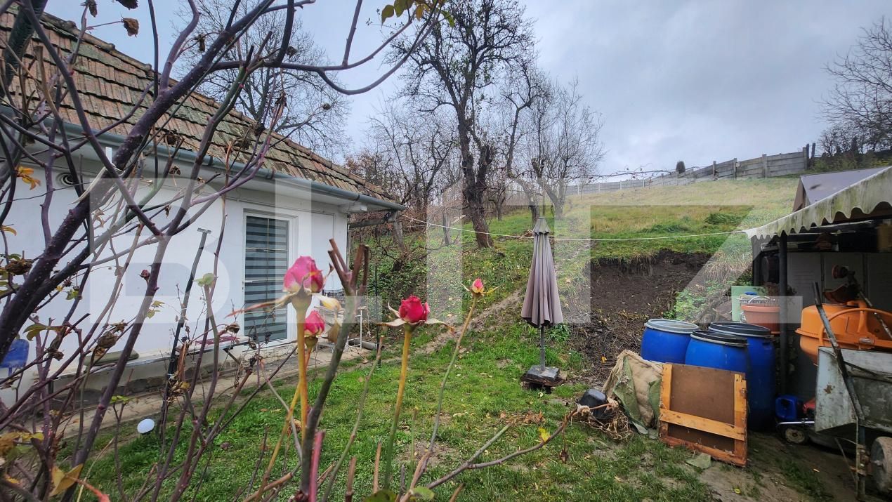 Casa de vânzare 3 camere Mureseni - 182295CV | BLITZ Târgu Mureș | Poza11