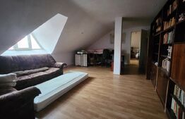 Casa 300 mp si teren 700 mp in Cristesti la doar 2 minute de Plaza M 