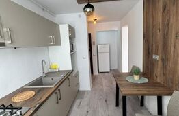 Apartament 2 camere, 46 mp, zona Aleea Carpati