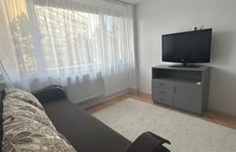 Apartament 2 camere, 46 mp, zona Aleea Carpati