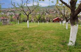 Cabana cu teren generos, 1824 mp, acces din 2 străzi – Livezeni