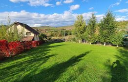 Cabana cu teren generos, 1824 mp, acces din 2 străzi – Livezeni